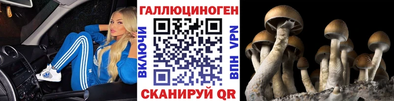 купить   Высоковск  Галлюциногенные грибы ЛСД 