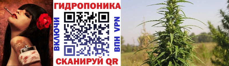 Канабис тримм Высоковск